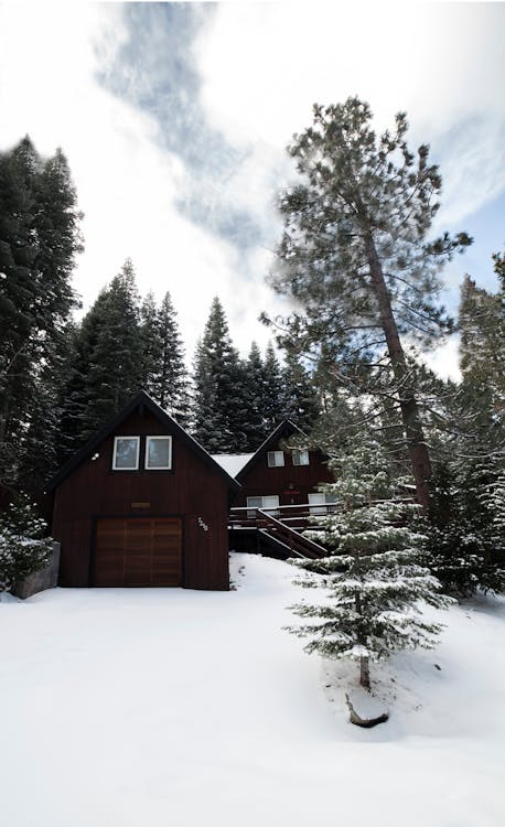 The house has a dark wooden exterior with a steeply pitched roof and a garage at the front. A staircase leads up to a balcony, adding to the rustic aesthetic. The foreground showcases a snow-covered driveway and a young pine tree, while the sky above is partly cloudy, with sunlight filtering through the trees, creating a serene winter atmosphere