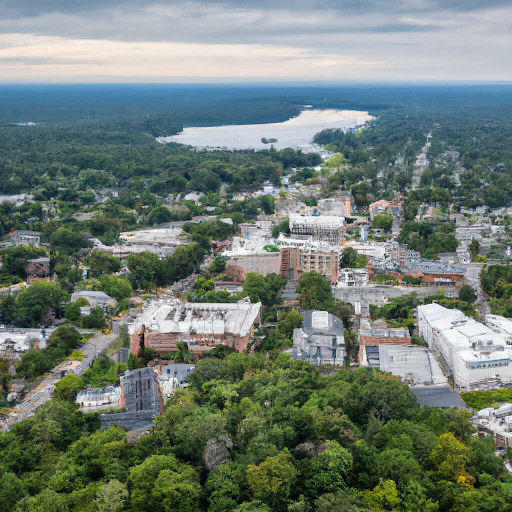 Reading, MA, with its dense greenery surrounding a mix of residential and commercial buildings. A prominent water body and a tree-lined road extend into the distance, offering a peaceful, suburban landscape